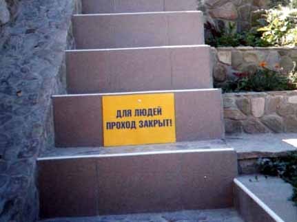 111.jpg