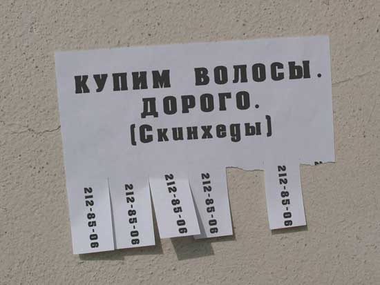 265.jpg